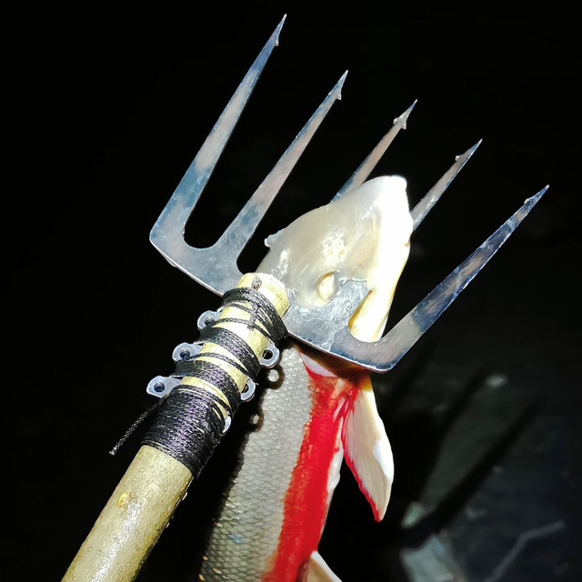 Foraging Tools